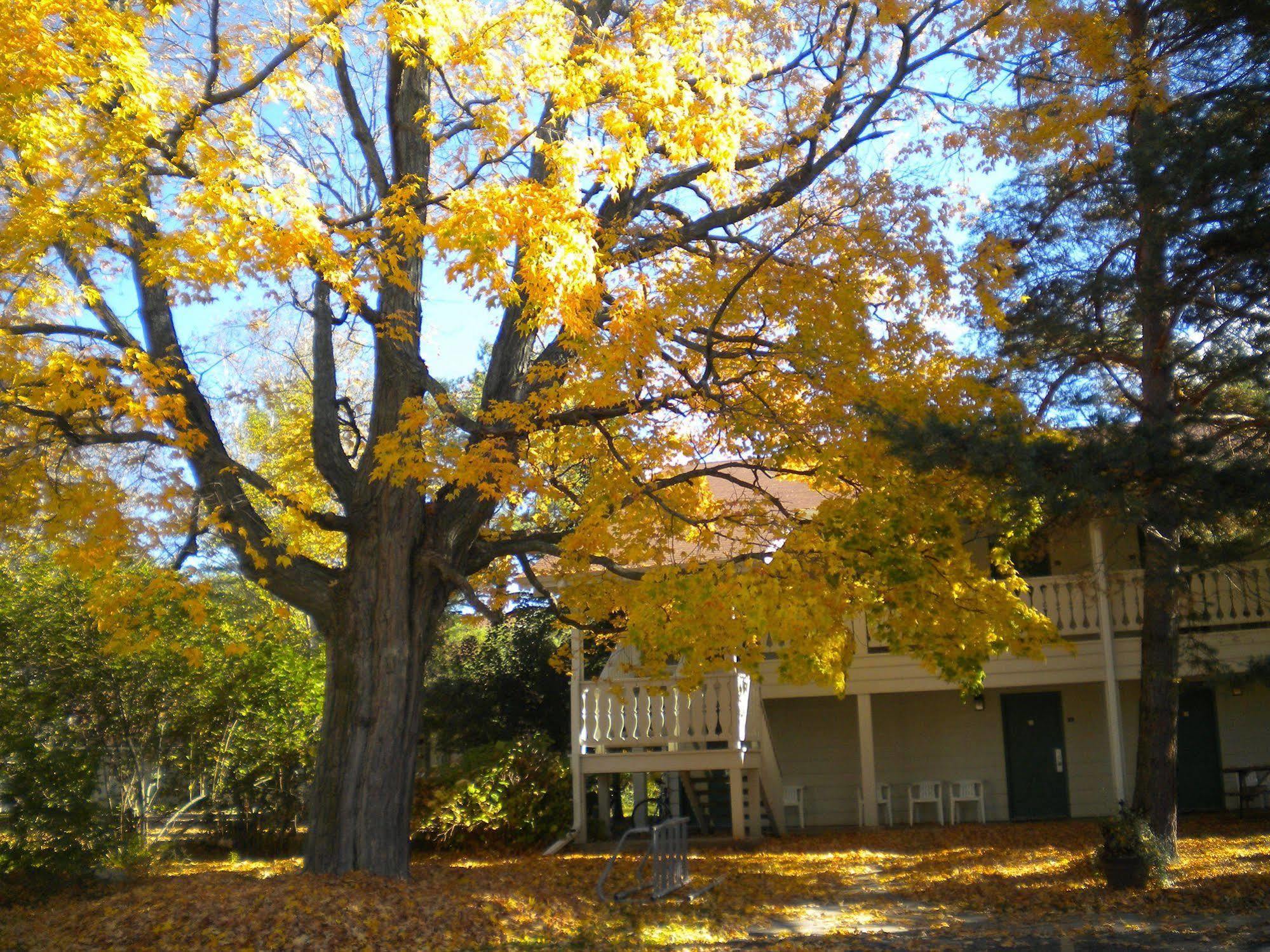 Parkwood Lodge Fish Creek Exteriér fotografie